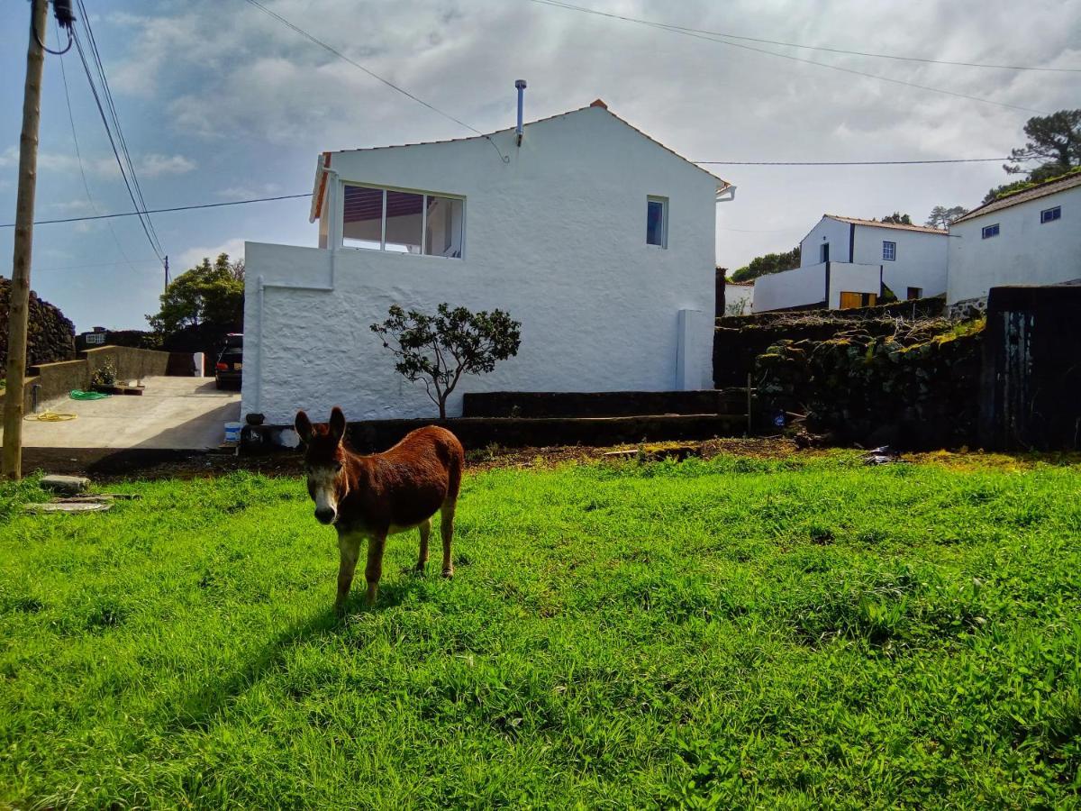 Casa Do Marcelino Lagarto Villa São Roque do Pico Eksteriør bilde