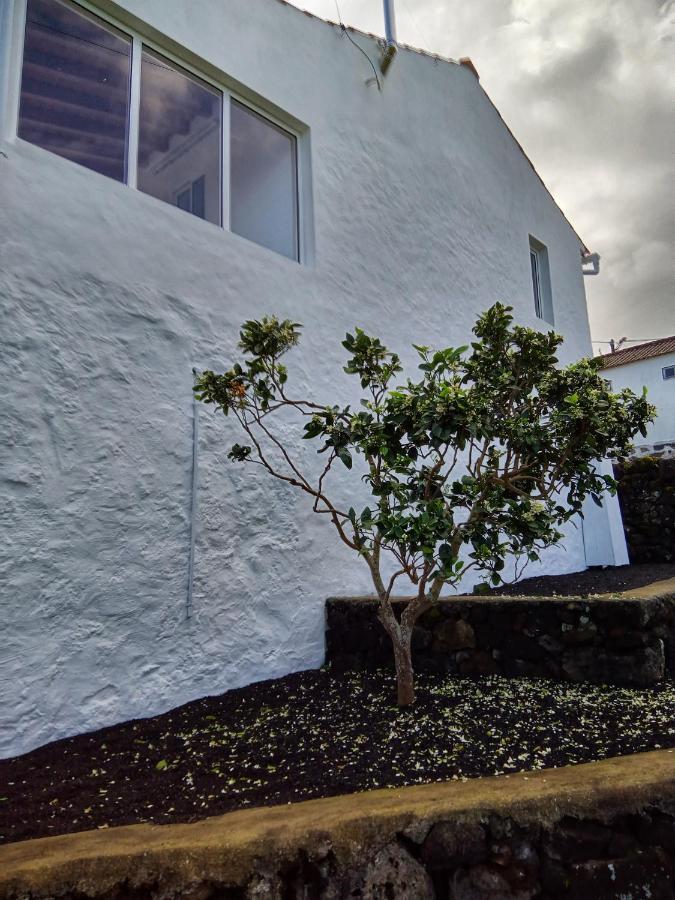 Casa Do Marcelino Lagarto Villa São Roque do Pico Eksteriør bilde