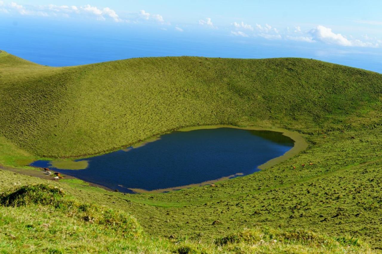 Casa Do Marcelino Lagarto Villa São Roque do Pico Eksteriør bilde