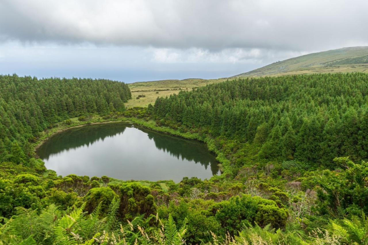 Casa Do Marcelino Lagarto Villa São Roque do Pico Eksteriør bilde