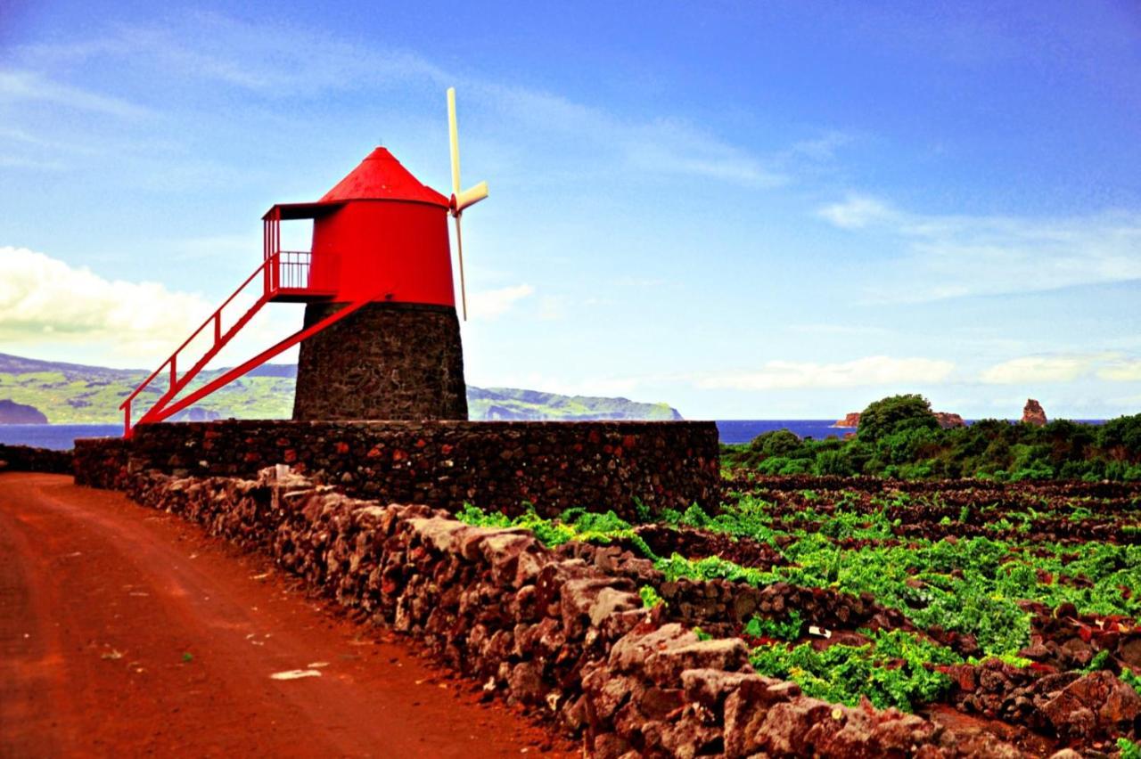 Casa Do Marcelino Lagarto Villa São Roque do Pico Eksteriør bilde